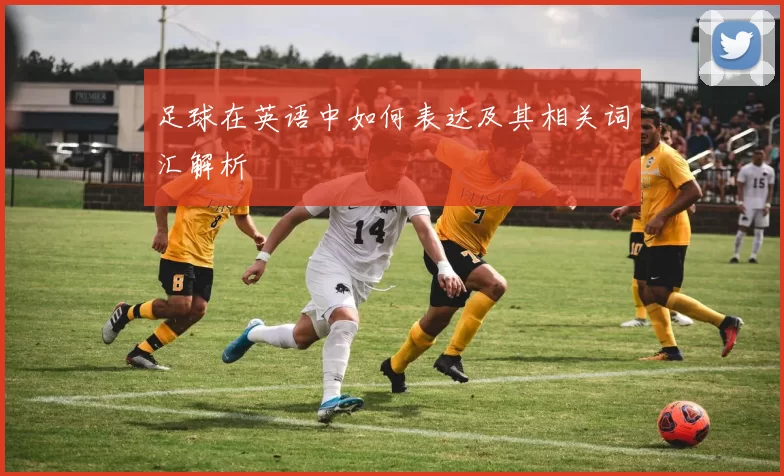 足球在英语中如何表达及其相关词汇解析