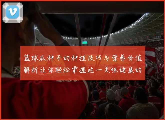 篮球瓜种子的种植技巧与营养价值解析让你轻松掌握这一美味健康的水果