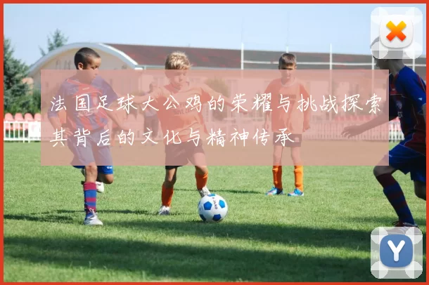 法国足球大公鸡的荣耀与挑战探索其背后的文化与精神传承