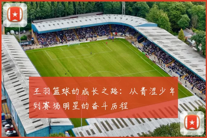 王羽篮球的成长之路：从青涩少年到赛场明星的奋斗历程