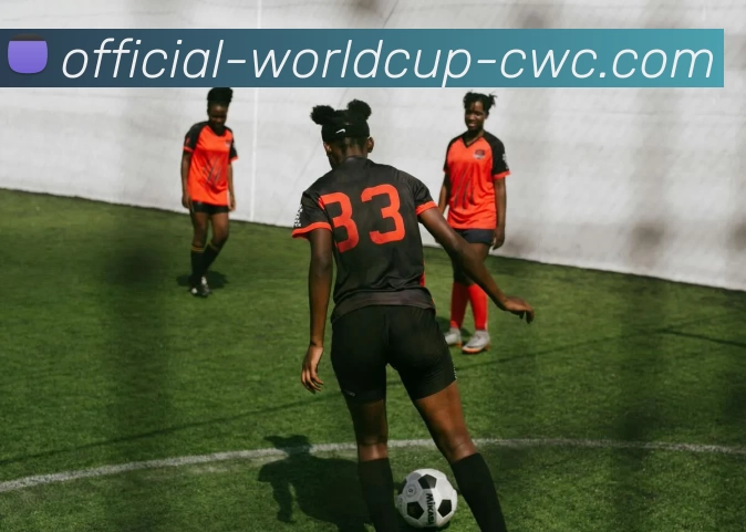 2026世界杯服务体系